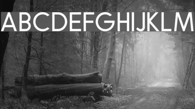 RobustaSansDemo Font examples