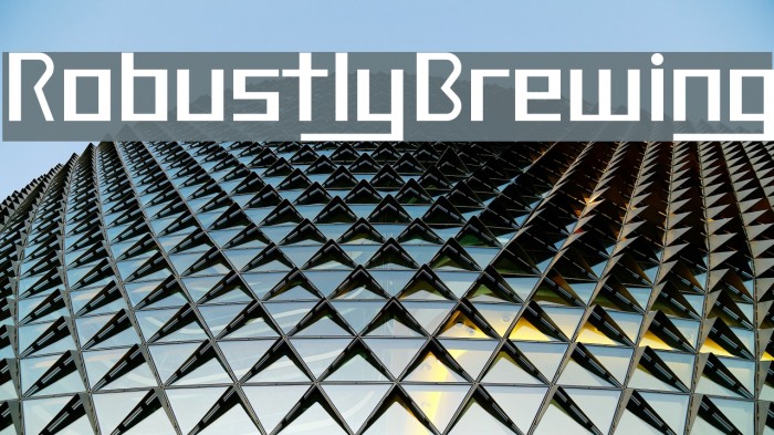 RobustlyBrewing Example 3