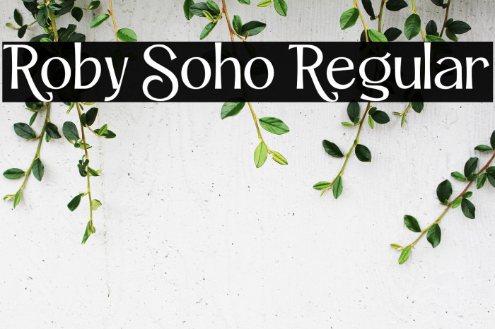 Roby Soho Regular Example 2
