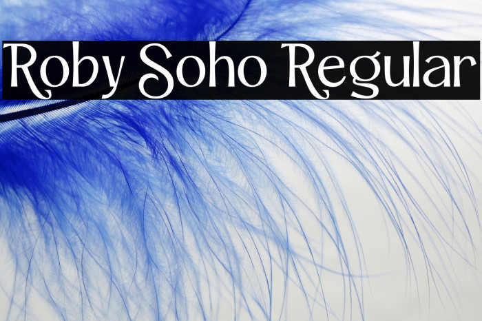 Roby Soho Regular Example 3