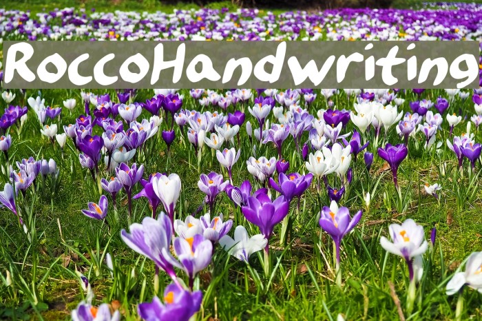 RoccoHandwriting Font examples