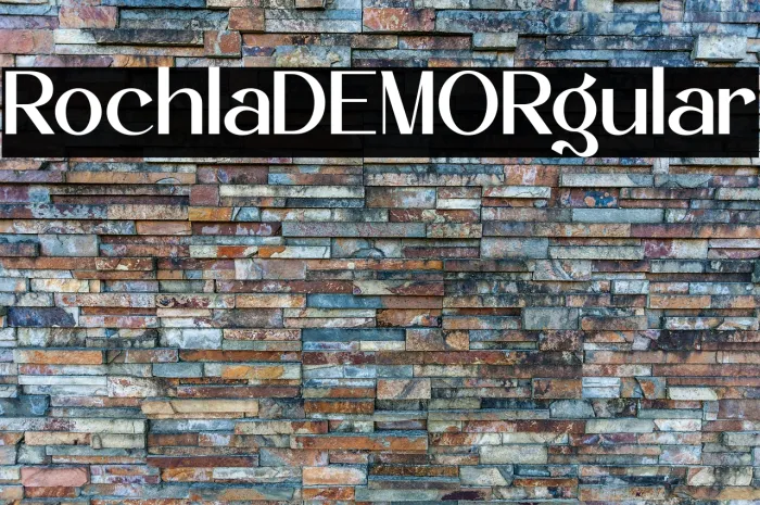 Rochela DEMO Regular Example 1
