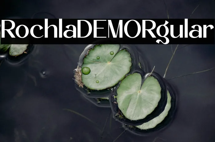 Rochela DEMO Regular Example 3