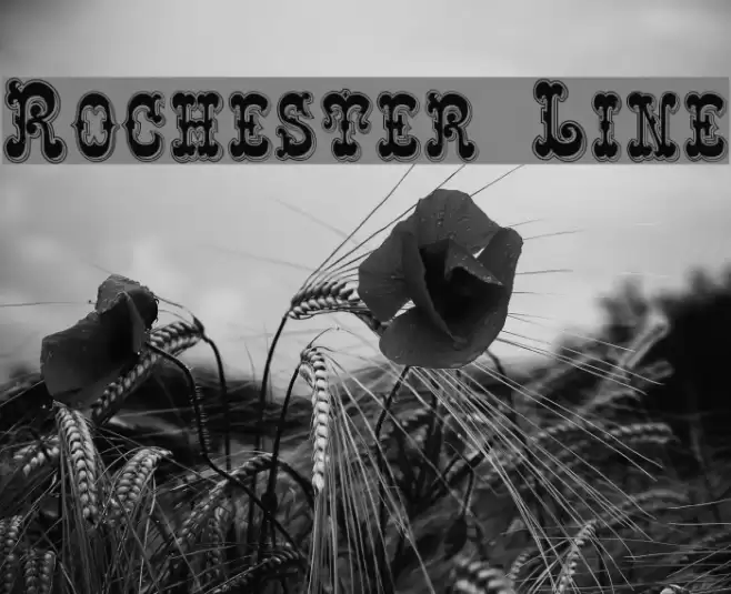 Rochester Line Font examples