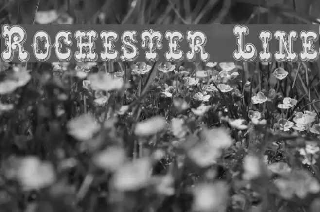 Rochester Line Font examples