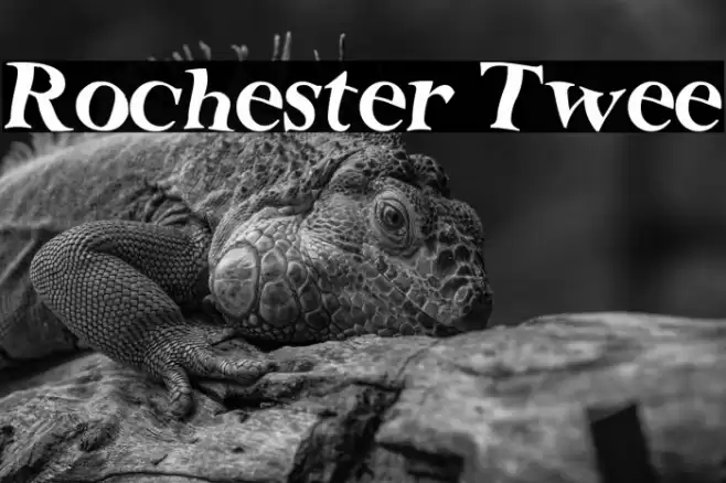 Rochester Twee Font examples