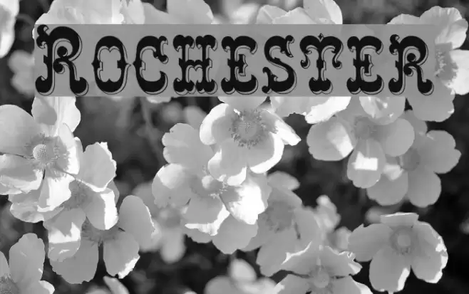 Rochester Font examples