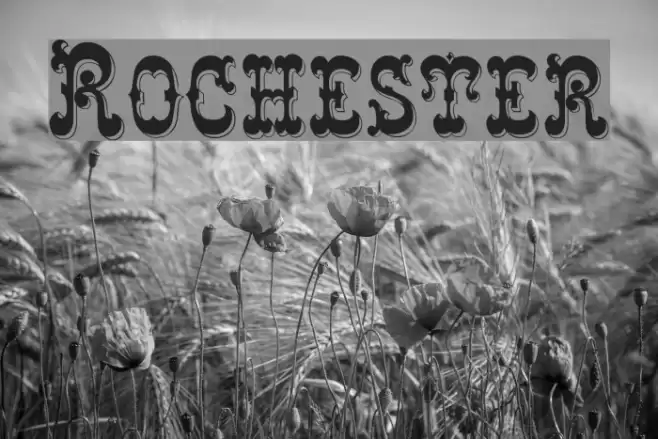 Rochester Font examples