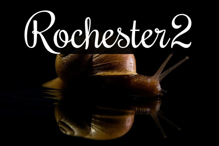 Rochester2 Example 2