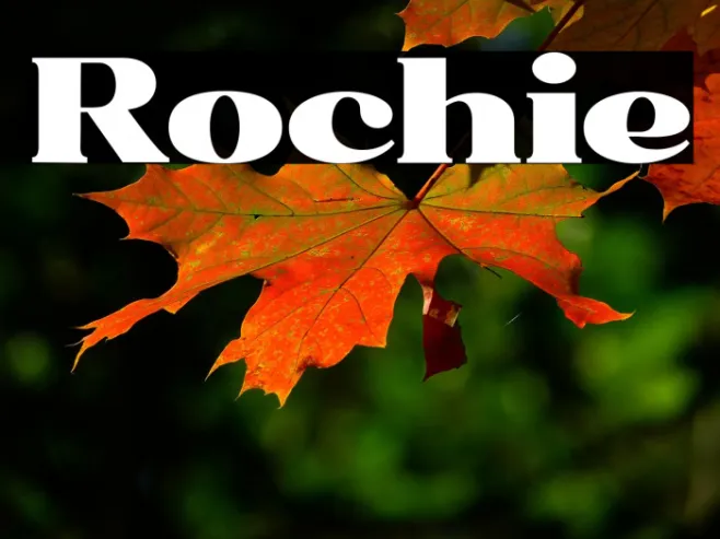 Rochie Example 2