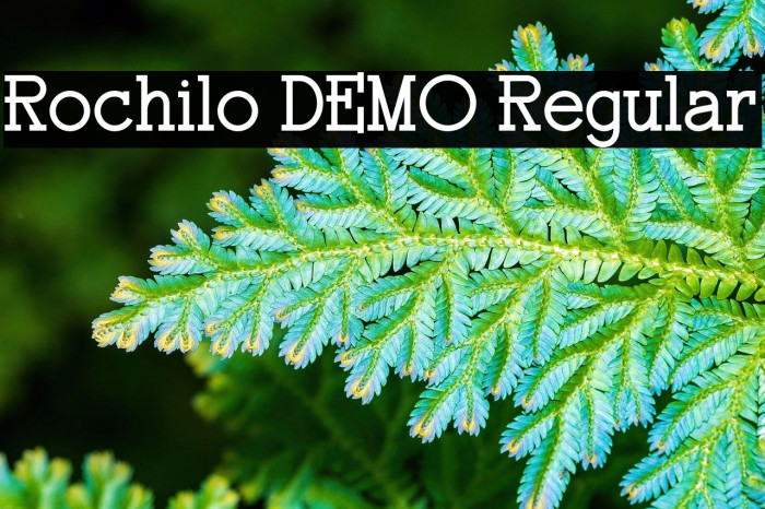 Rochilo DEMO Regular Fonte examples