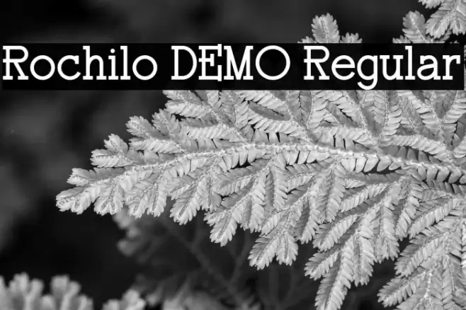 Rochilo DEMO Regular フォント examples