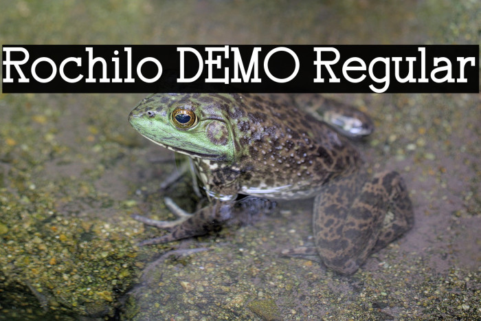 Rochilo DEMO Regular Fonte examples