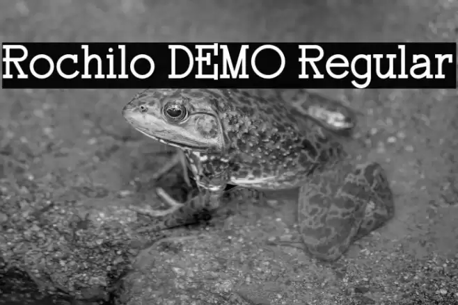 Rochilo DEMO Regular フォント examples