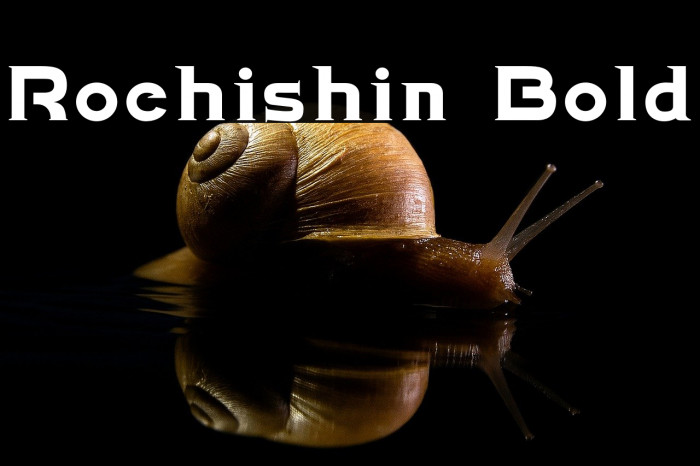 Rochishin Bold Example 3
