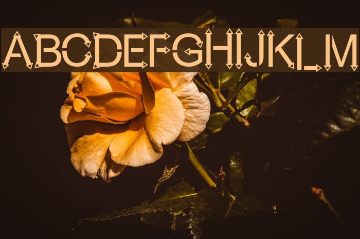 Rock Arrow Font examples