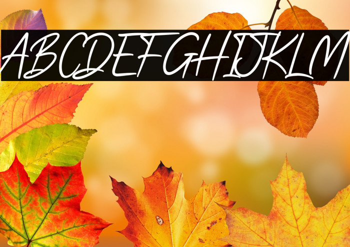 Rock Bottom Example 1