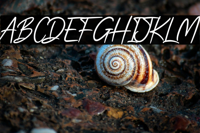 Rock Bottom Example 2