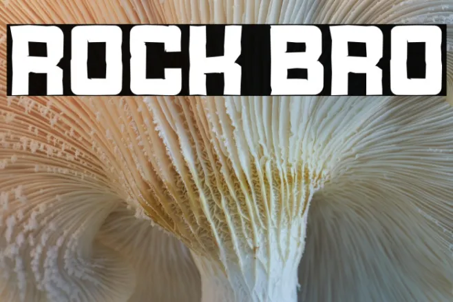 Rock Bro Example 1