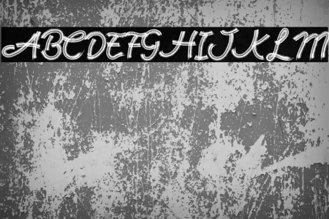 Rock Brush Pro Polices examples