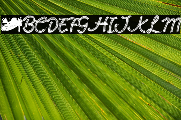 Rock Brush Pro Example 1