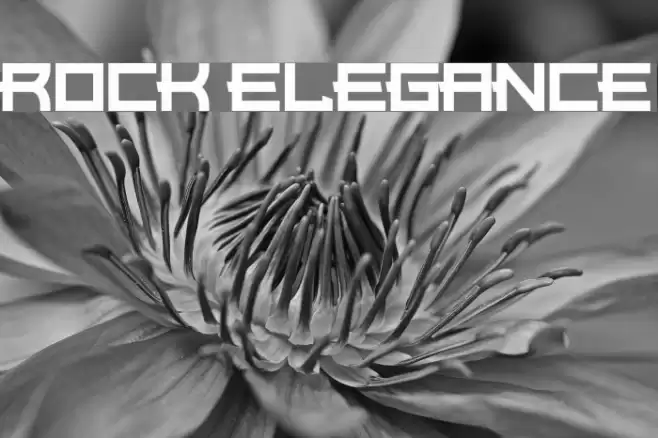 Rock Elegance Font examples