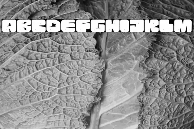 Rock Pile Schriftart examples