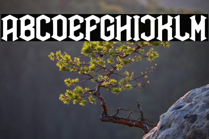 Rock Soldier Example 1