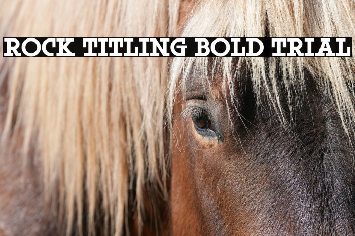 Rock Titling Bold Trial Example 2