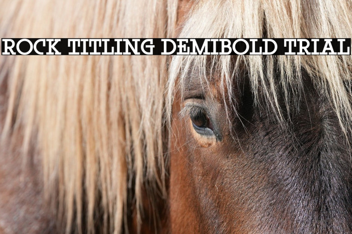 Rock Titling DemiBold Trial Example 1