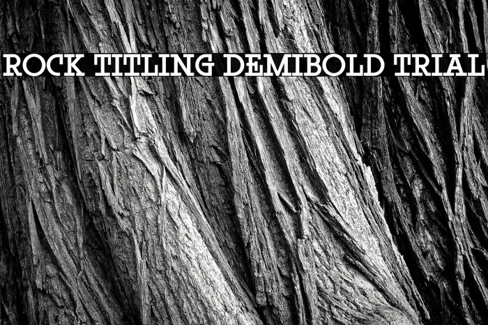 Rock Titling DemiBold Trial Example 3