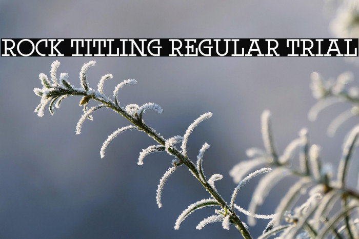 Rock Titling Regular Trial Example 1