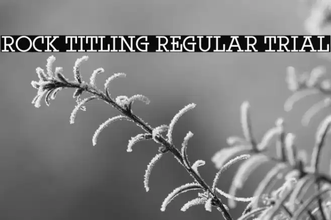 Rock Titling Regular Trial Font examples