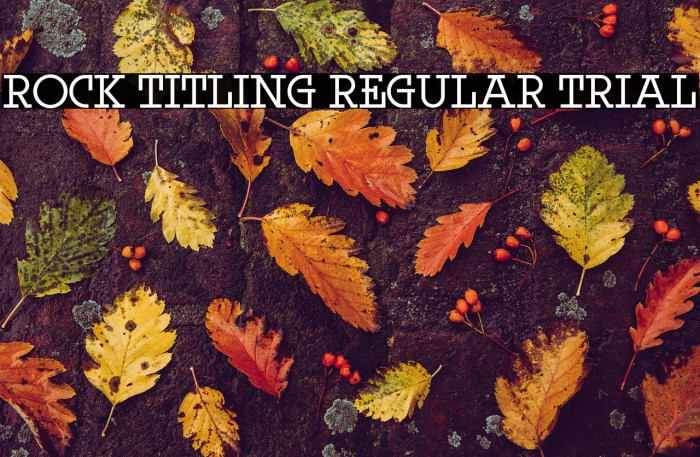 Rock Titling Regular Trial Example 3