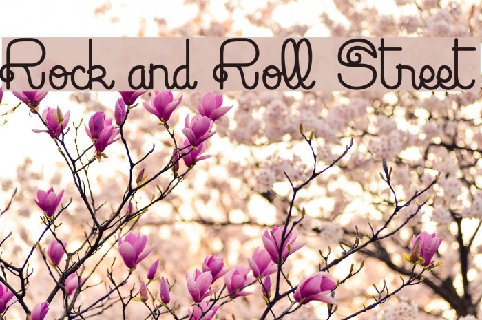 Rock and Roll Street Font examples