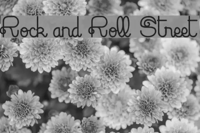 Rock and Roll Street Font examples