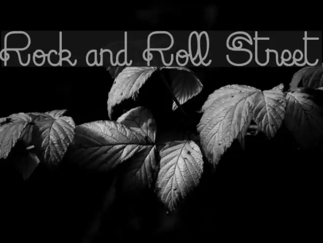 Rock and Roll Street Font examples