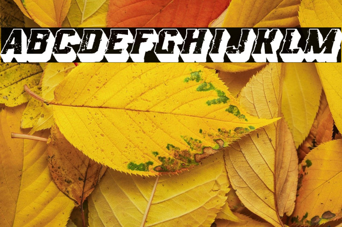 Rock of Times Example 1