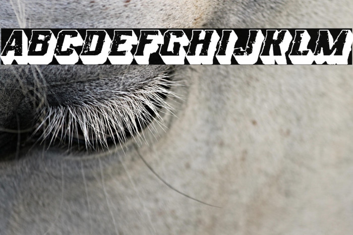 Rock of Times Example 2