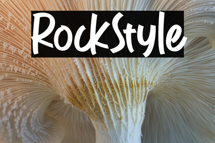 RockStyle Example 2