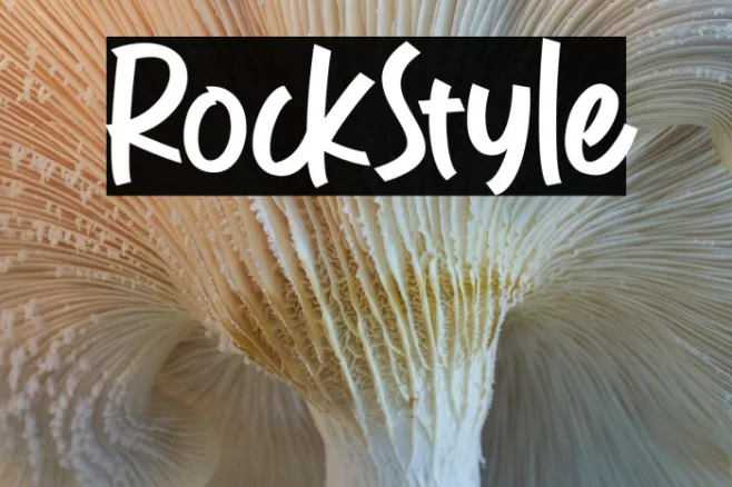 RockStyle Example 2