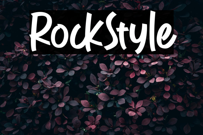 RockStyle Example 3