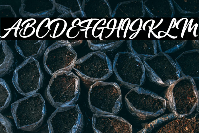 Rockabilly Example 1