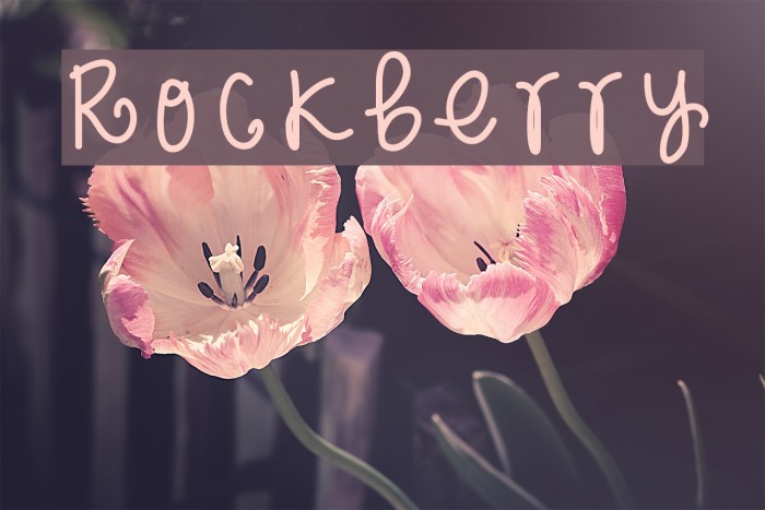 Rockberry Font examples