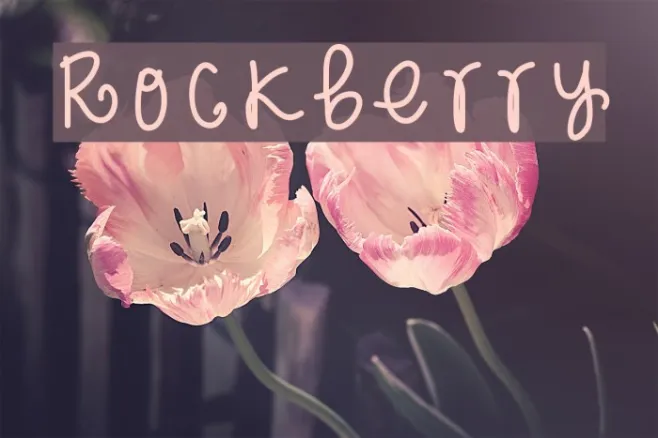 Rockberry Example 1