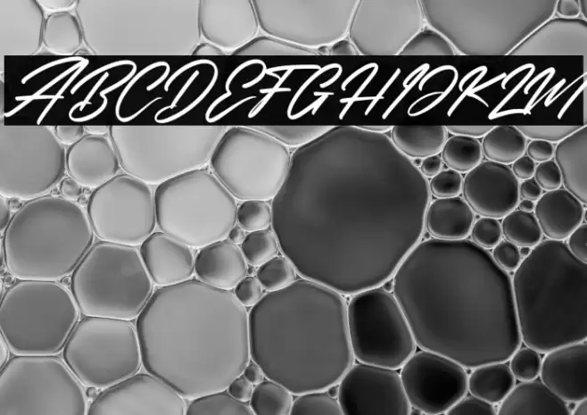 Rockchild California Italic Font examples