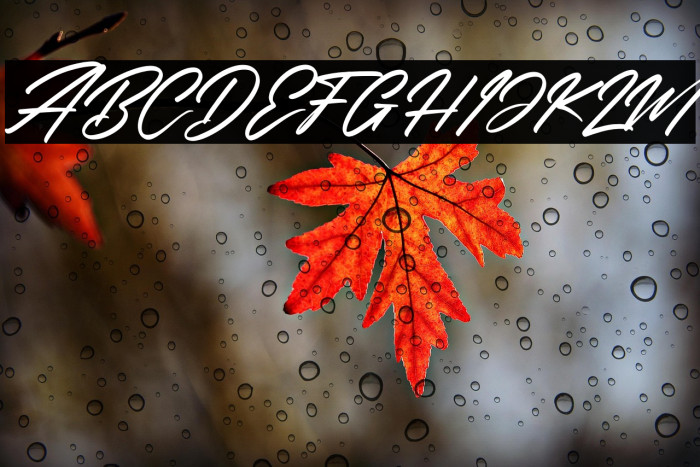 Rockchild California Italic Example 2