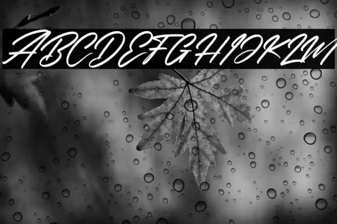 Rockchild California Italic Font examples