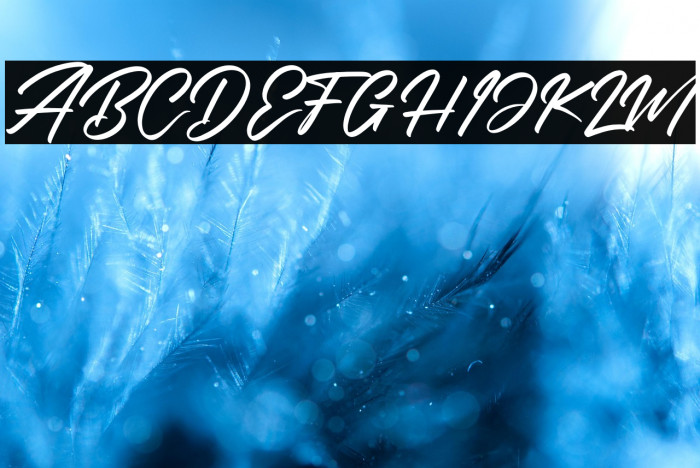 Rockchild California Example 2