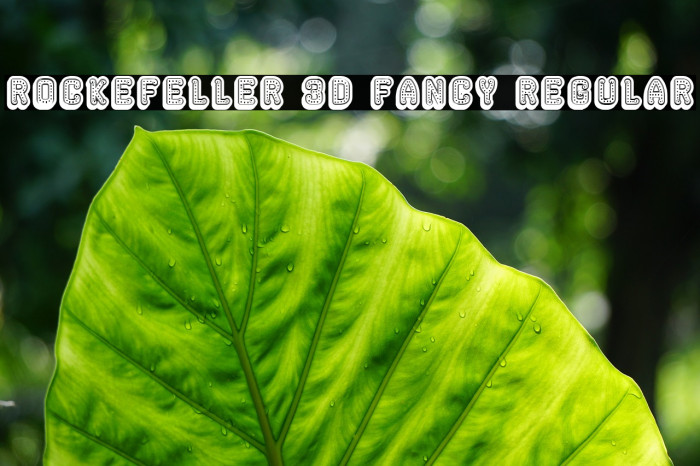 Rockefeller 3D Fancy Regular Font examples